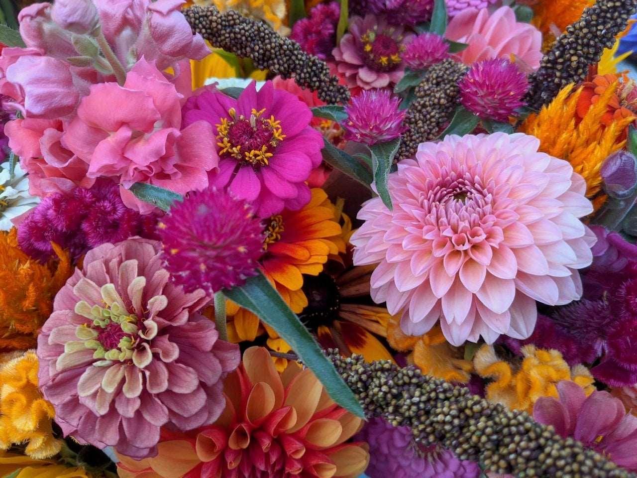 2024 Summer Flowers