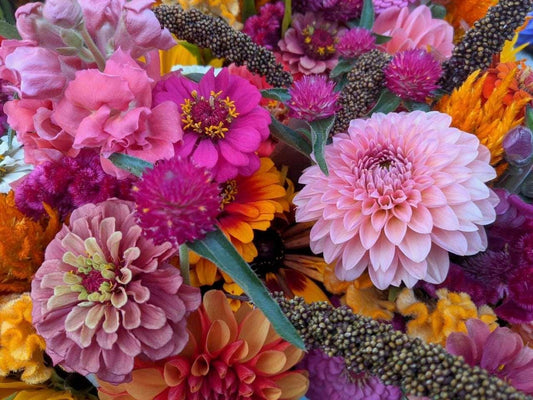 2024 Summer Flowers