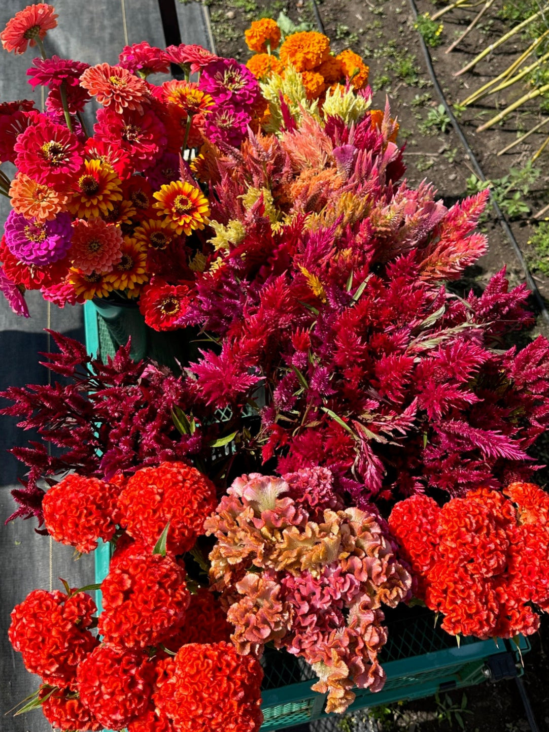 October Bouquets