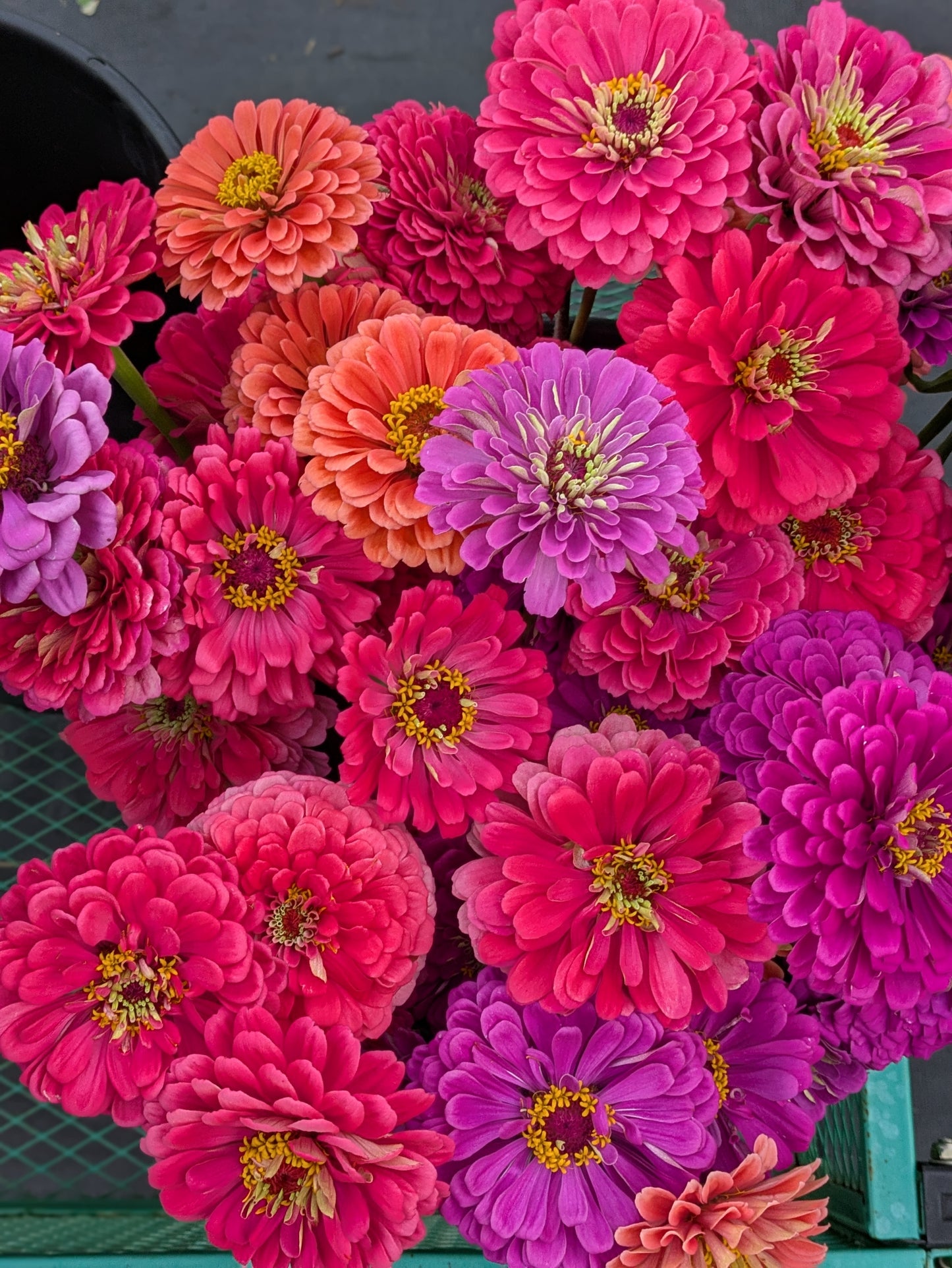 October Bouquets