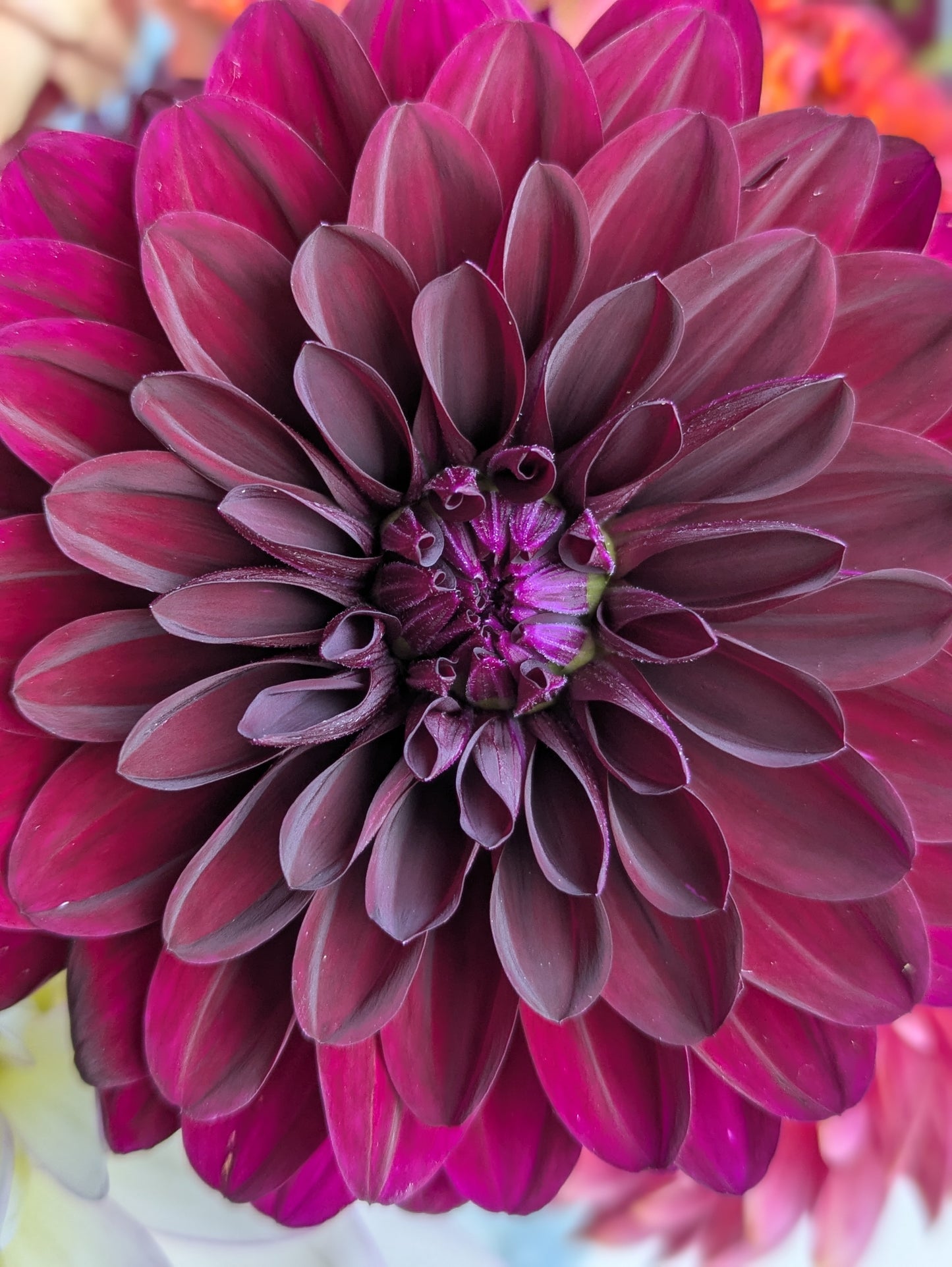 October Bouquets