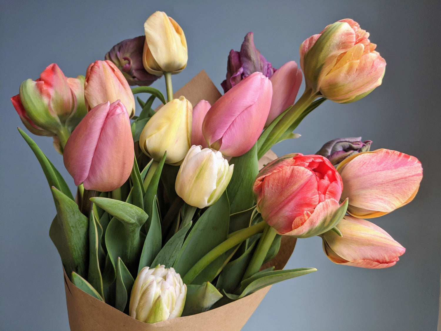 Mother's Day - Jan's Artisan Garden