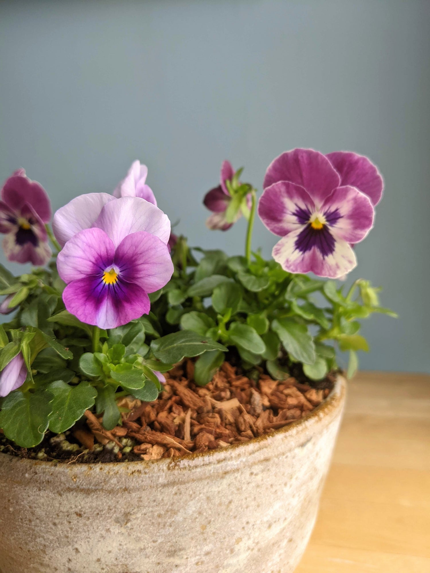 Spring Centerpiece