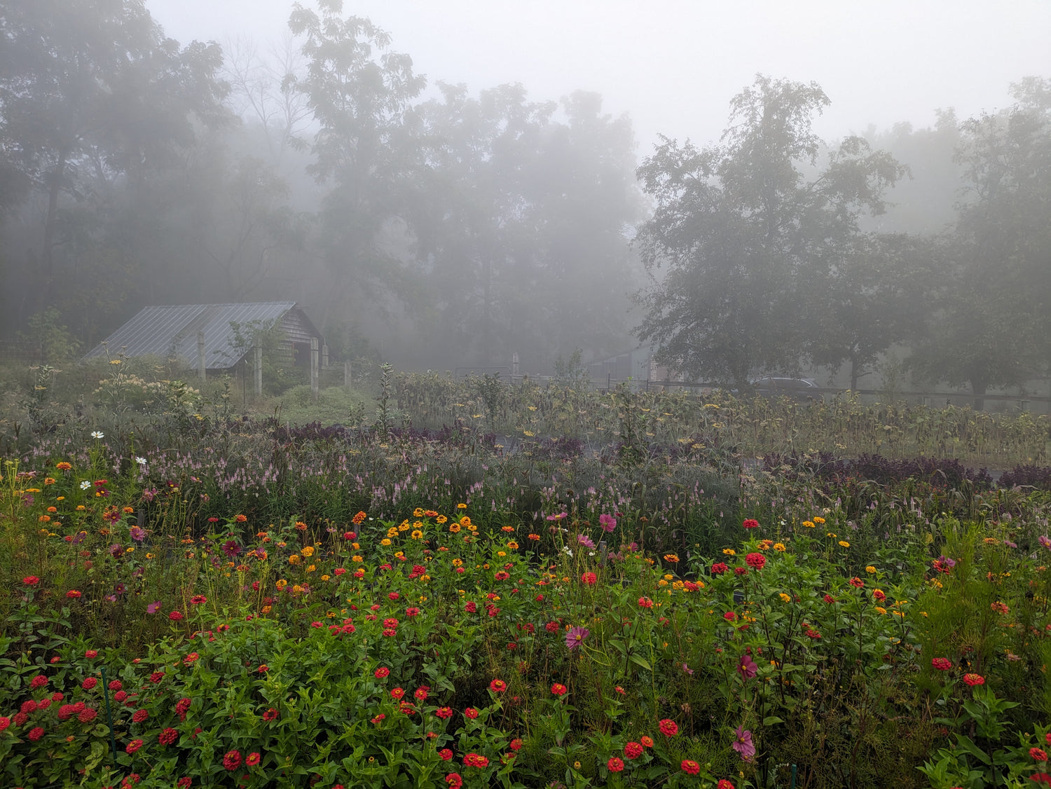 Workshops & Farm Events