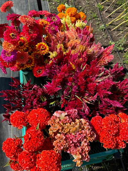 October Bouquets