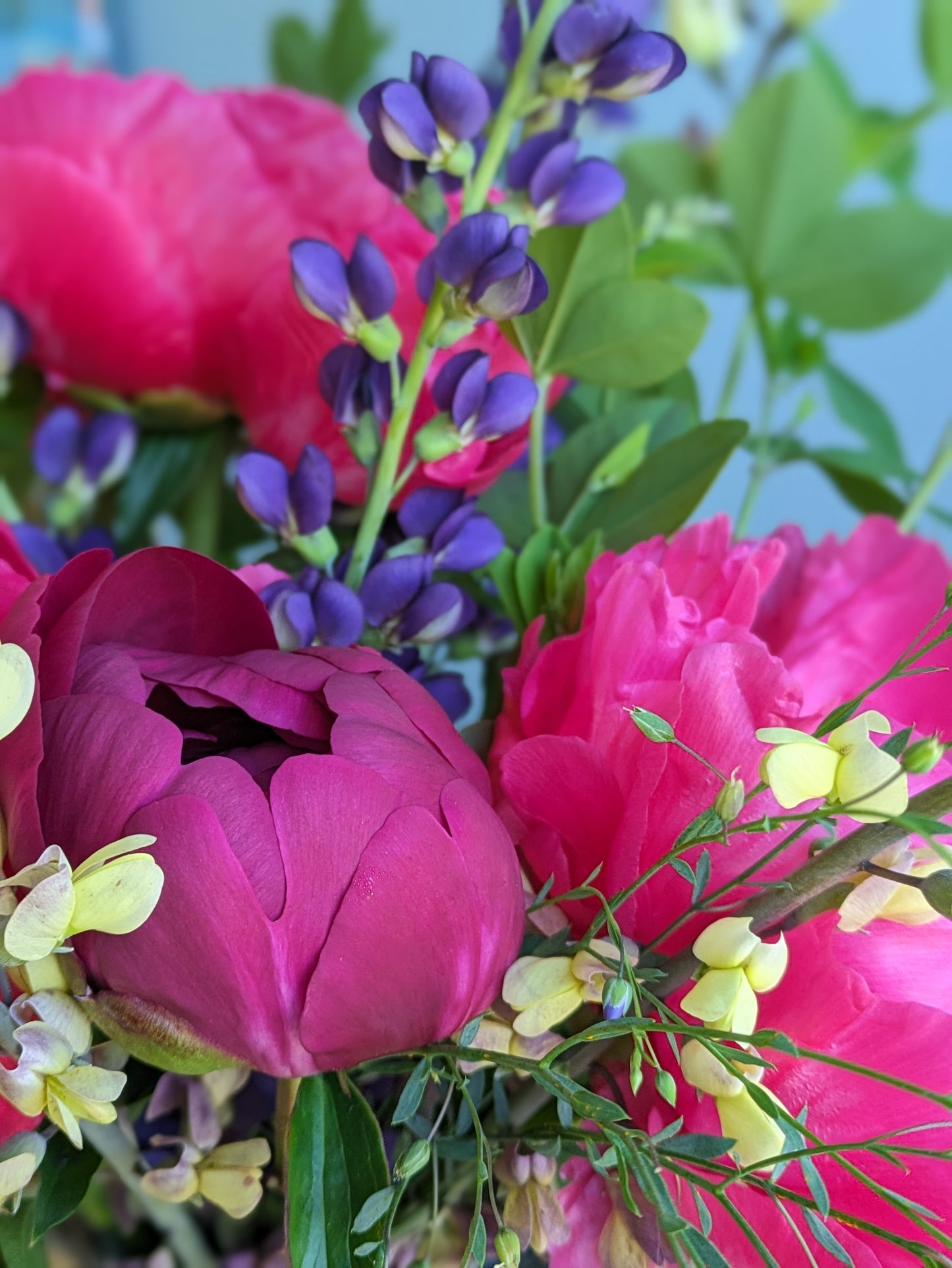 August & Sept Biweekly Flower Share