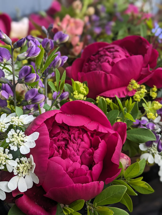 June Flower Share