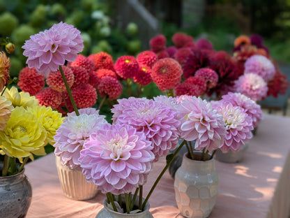 September Flower Share