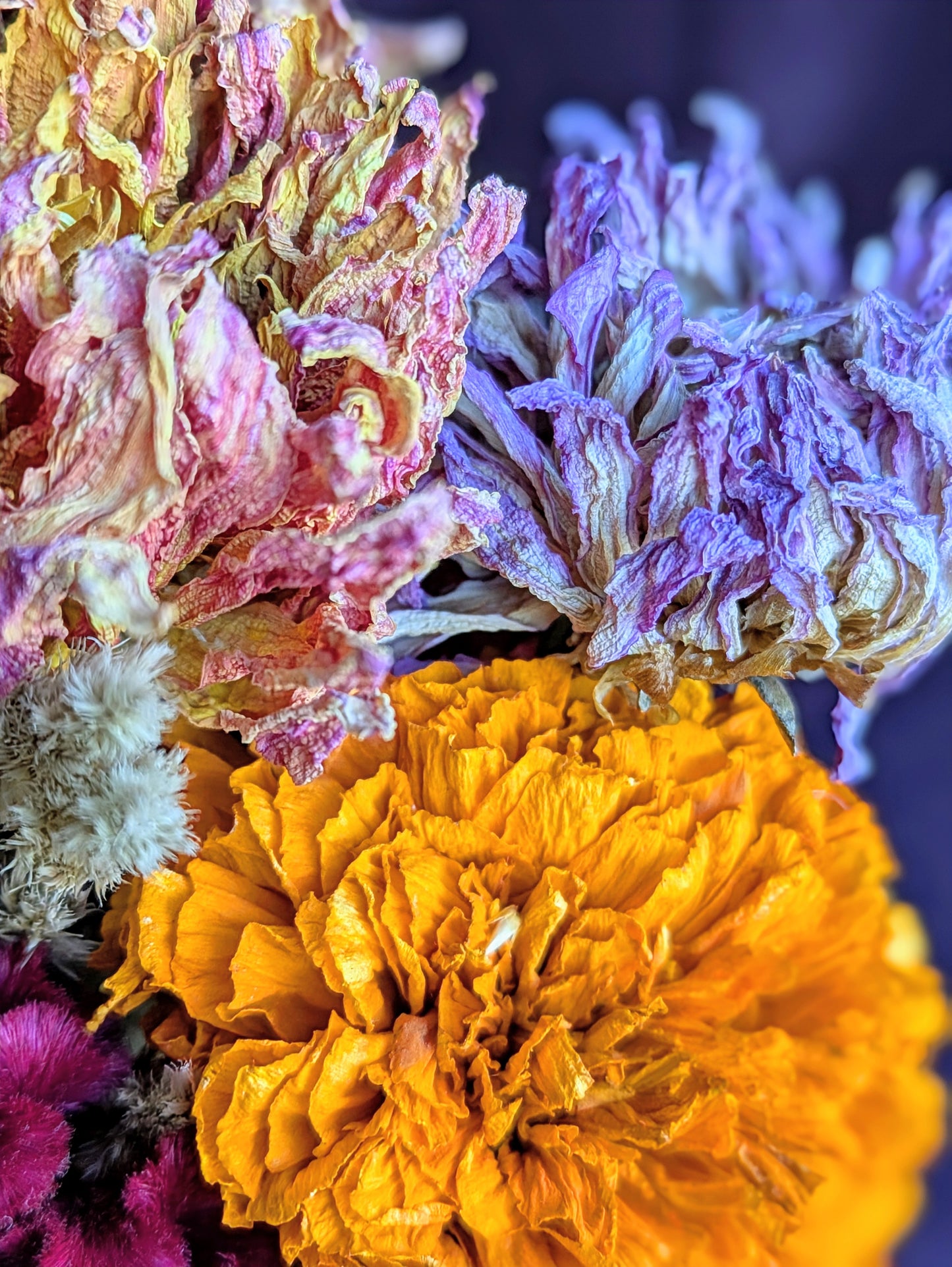 Autumn Dried Flower Arrangement