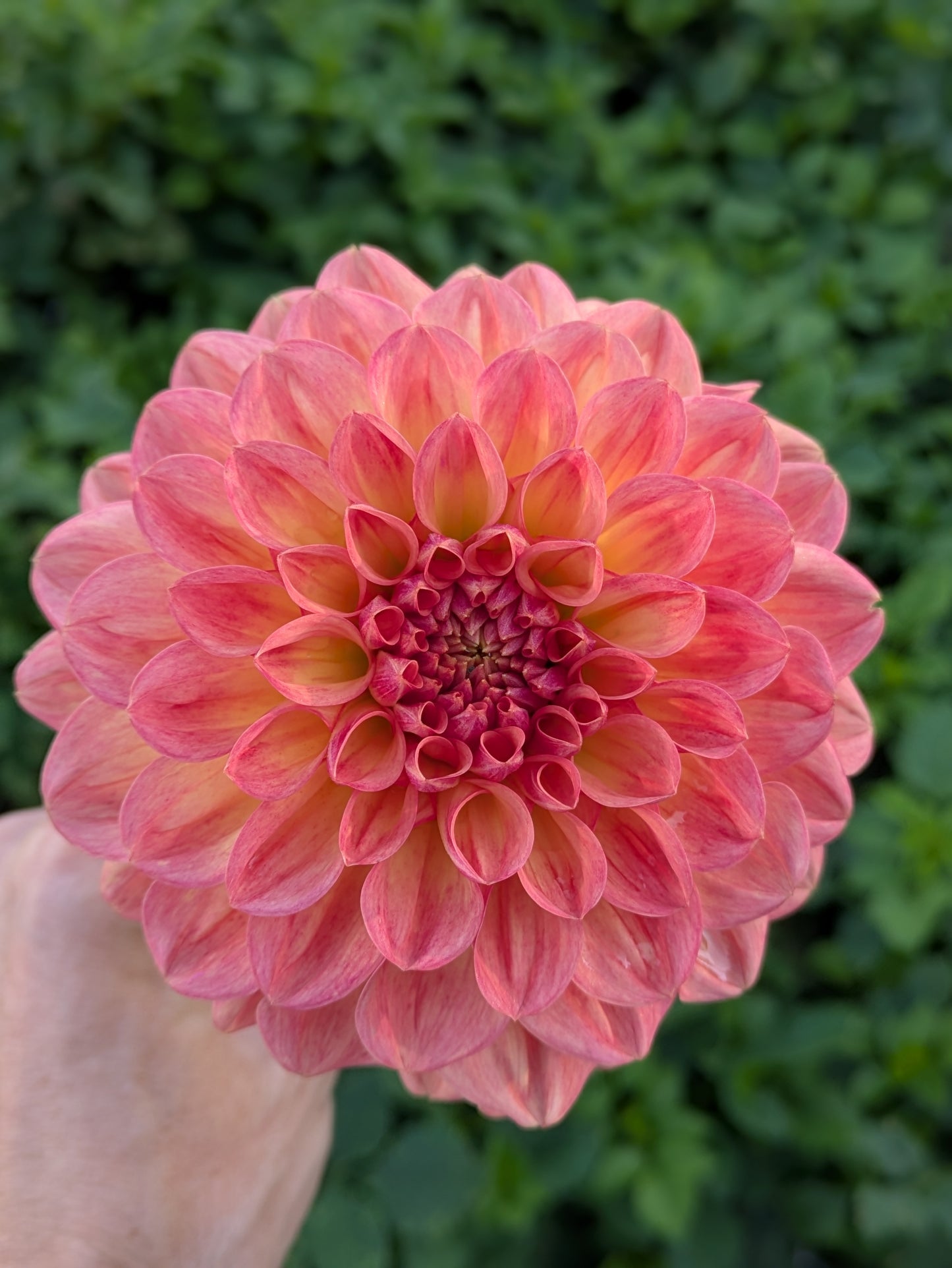 October Bouquets