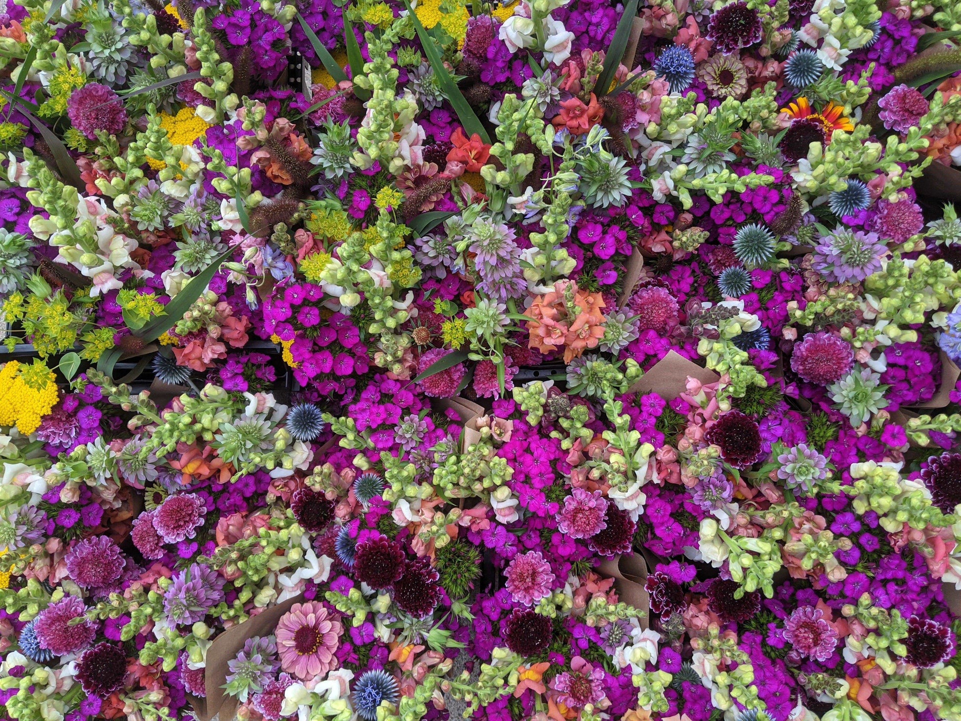 Pre-Order Flowers - Jan's Artisan Garden